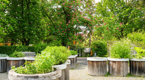 Der Duft und Tastgarten im Leipziger Friedenspark mit bepflanzten runden Hochbeeten aus Holz. Im Hintergrund befindet sich eine Informationstafel zum Tasten. Kastanien stehen in voller Blüte.