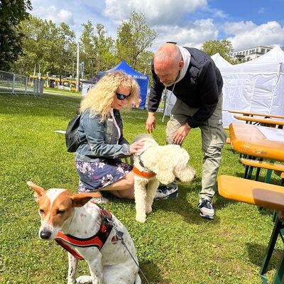 Festivalführhund Harry mit seiner Halterin beim Training mit dem Hundepsychologe. Der blonde Goldendoodle steht neben einer Biergarnitur zwischen den beiden Menschen.