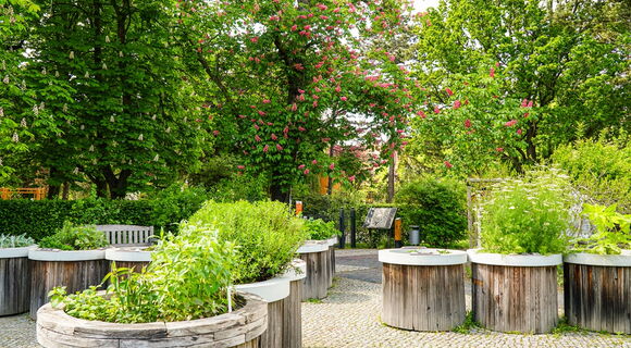 Der Duft und Tastgarten im Leipziger Friedenspark mit bepflanzten runden Hochbeeten aus Holz. Im Hintergrund befindet sich eine Informationstafel zum Tasten. Kastanien stehen in voller Blüte.