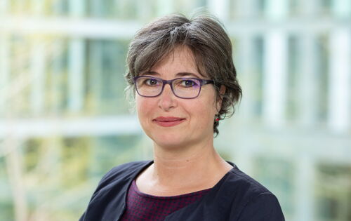 Porträt von Julia Gebrande: Eine Frau mit kurzem braunem Haar und Brille blickt in die Kamera. Sie trägt ein dunkles Jackett über einem gemusterten Oberteil. Der Hintergrund ist hell und unscharf.