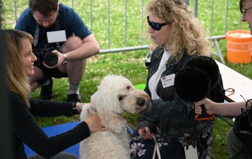 Zwei junge Frauen sitzen sich gegenüber, zwischen ihnen ein heller Goldendoodle. Ein Mann filmt die Szene.