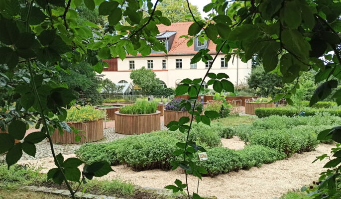 Ein gepflasterter Weg führt durch runde Hochbeete. In ihnen wächst unter anderem Lavendel. Im Hintergrund ist ein Gewächshaus. Die Äste eines Baumes ragen von oben in das Bild.