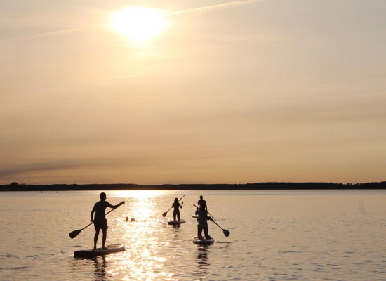 Auf einem See im untergehenden Sonnenlicht, stehen drei Personen auf Stand-up-Paddling-Boards. Sie halten Stechpaddel in den Händen. Sie sind im Gegenlicht nur schemenhaft zu erkennen.