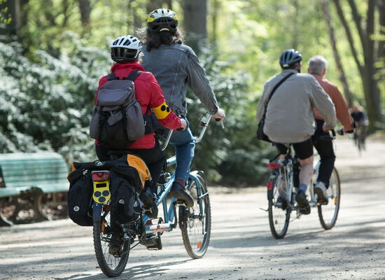 Zwei Tandems fahren hinter einander durch einen sonnigen Park. Sie sind mit Fahrradtaschen und Rucksack bepackt. Um den Arm einer Radfahrerin und hinten am Fahrrad ist die Blindenplakette beschäftigt. Sie tragen lockere Kleidung und Fahrradhelme.