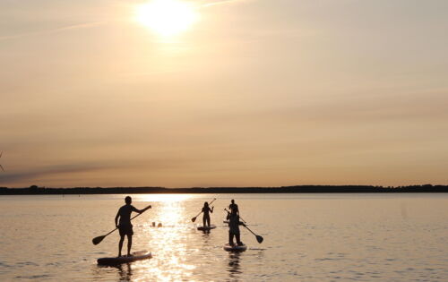 Auf einem See im untergehenden Sonnenlicht, stehen drei Personen auf Stand-up-Paddling-Boards. Sie halten Stechpaddel in den Händen. Sie sind im Gegenlicht nur schemenhaft zu erkennen.