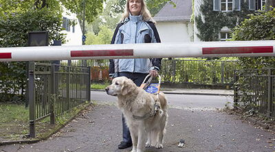 Ein Blindenführhund zeigt seiner Halterin eine Schranke direkt vor ihr an. Der Goldenretriewer bleibt verweigernd vor dem Höhenhindernis stehen.