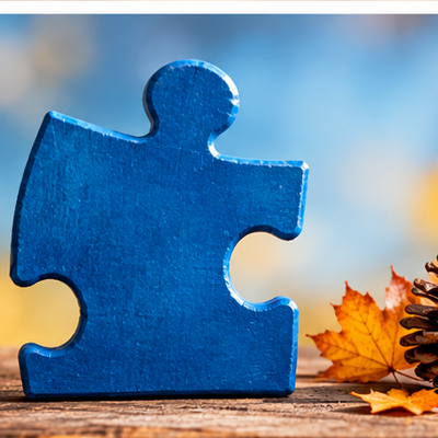 Ein blaues Puzzleteil, daneben liegen ein Herbstblatt und ein Tannenzapfen.