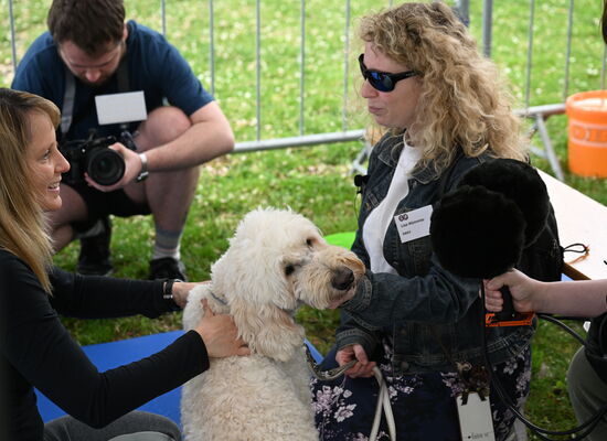 Zwei junge Frauen sitzen sich gegenüber, zwischen ihnen ein heller Goldendoodle. Ein Mann filmt die Szene.