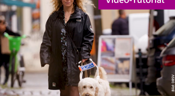 Eine Frau mit blonden Locken und Sonnenbrille geht am Führbügel ihres Hundes eine Straße entlang. Auf purpurnem Untergrund steht: "Social Media barrierefrei, Video-Tutorial"