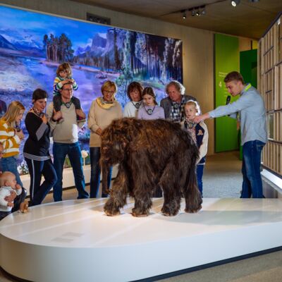 Familienführung im Neanderthal Museum: Kinder und Erwachsene betrachten ein etwa hüfthohes Baby Mammut mit langem Fell. Der Guide zeigt auf den Rücken des Tieres.