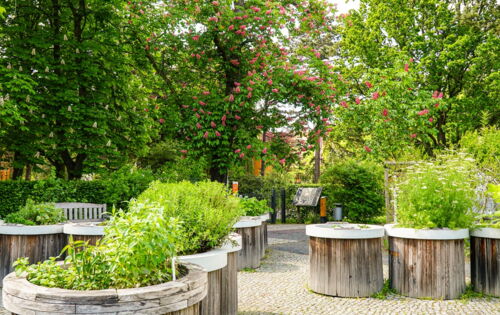 Der Duft und Tastgarten im Leipziger Friedenspark mit bepflanzten runden Hochbeeten aus Holz. Im Hintergrund befindet sich eine Informationstafel zum Tasten. Kastanien stehen in voller Blüte.
