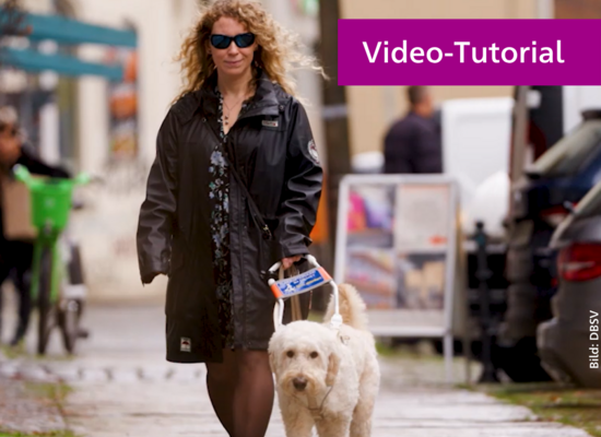 Eine Frau mit blonden Locken und Sonnenbrille geht am Führbügel ihres Hundes eine Straße entlang. Auf purpurnem Untergrund steht: "Social Media barrierefrei, Video-Tutorial"