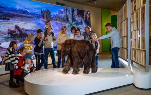 Familienführung im Neanderthal Museum: Kinder und Erwachsene betrachten ein etwa hüfthohes Baby Mammut mit langem Fell. Der Guide zeigt auf den Rücken des Tieres.