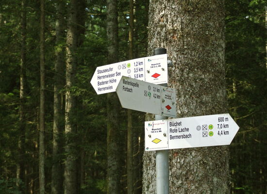 Drei weiße Wegweiser vor einem Baumstamm zeigen in verschiedene Richungen. Auf jedem stehen mehrere unterschiedliche Orte, zum Beispiel Badener Höhe, Forbach und Bermersbach.