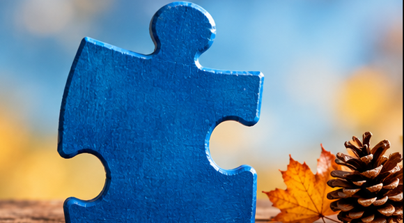 Ein blaues Puzzleteil, daneben liegen ein Herbstblatt und ein Tannenzapfen.