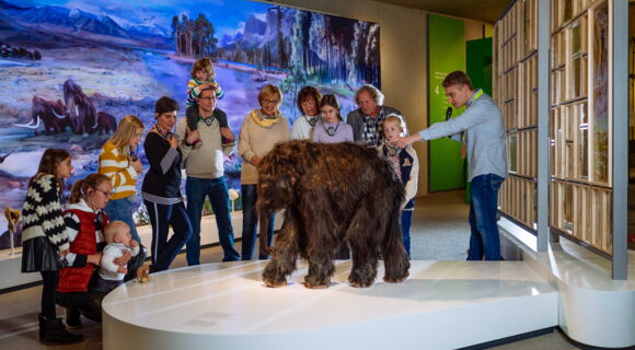 Familienführung im Neanderthal Museum: Kinder und Erwachsene betrachten ein etwa hüfthohes Baby Mammut mit langem Fell. Der Guide zeigt auf den Rücken des Tieres.