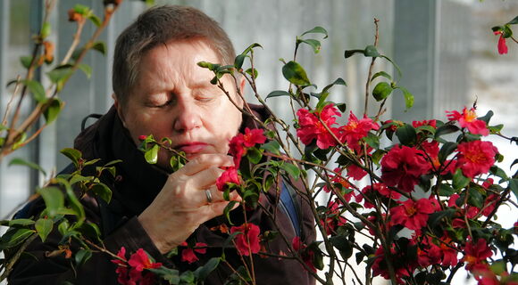 Eine Frau mit kurzem glatten Haar, Marion Krause, riecht mit geschlossenen Augen an einem Zweig mit kleinen Blättern und einer roten Blüte. Rechts ist eine große Kamelie mit vielen roten Blüten und mittelgroßen Blättern zu sehen.