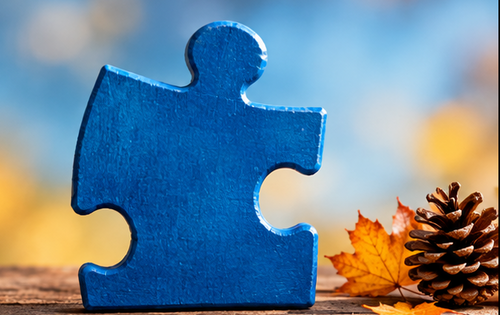 Ein blaues Puzzleteil, daneben liegen ein Herbstblatt und ein Tannenzapfen.