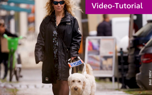 Eine Frau mit blonden Locken und Sonnenbrille geht am Führbügel ihres Hundes eine Straße entlang. Auf purpurnem Untergrund steht: "Social Media barrierefrei, Video-Tutorial"