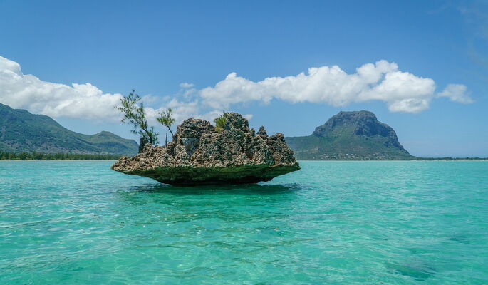 Inmitten des türkisblauen Ozeans ragt eine kleine, begrünte Insel auf.