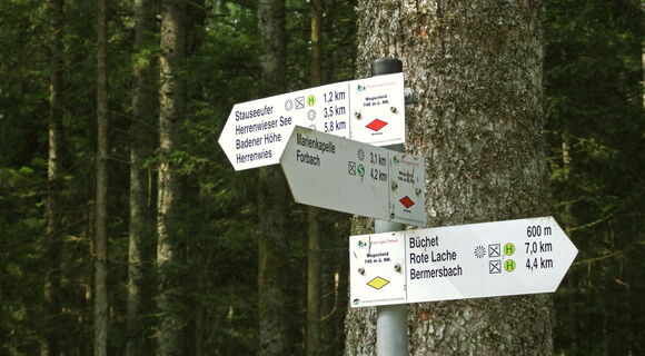 Drei weiße Wegweiser vor einem Baumstamm zeigen in verschiedene Richungen. Auf jedem stehen mehrere unterschiedliche Orte, zum Beispiel Badener Höhe, Forbach und Bermersbach.