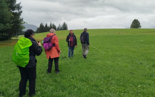 Vier Personen der DBSV-Wandergruppe gehen im Abstand von einigen Metern   zueinander über eine Wiese einen Hang hoch. Sie tragen Rucksäcke und Langstöcke.