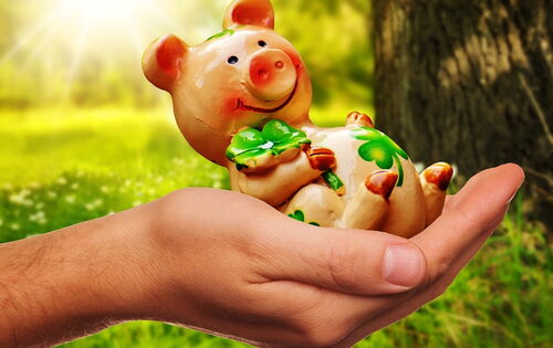 In einer menschlichen Hand liegt die Figur eines rosa Glücksschweinchens mit einem grünen Kleeblatt.