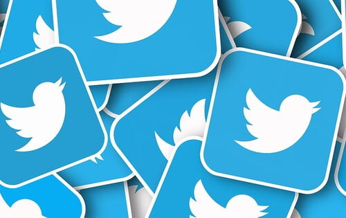 Twitter-Logos durcheinander: auf hellblauen Rechtecken ist der frühere Twitter-Vogel in Weiß abgebildet.
