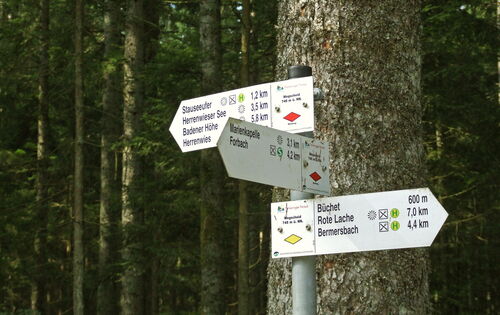 Drei weiße Wegweiser vor einem Baumstamm zeigen in verschiedene Richungen. Auf jedem stehen mehrere unterschiedliche Orte, zum Beispiel Badener Höhe, Forbach und Bermersbach.