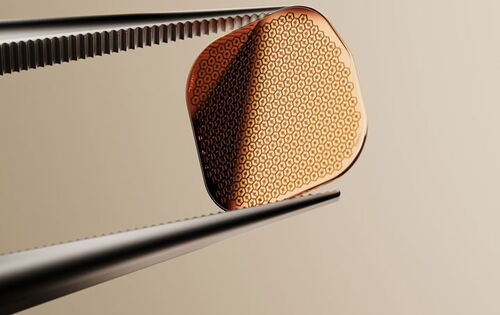 Eine Zange hält den kleinen goldfarbenen Chip. Er ist quadratisch mit abgerundeten Ecken.