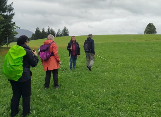 Vier Personen der DBSV-Wandergruppe gehen im Abstand von einigen Metern   zueinander über eine Wiese einen Hang hoch. Sie tragen Rucksäcke und Langstöcke.